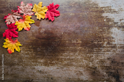 Autumn leaves on wooden background with copy space. Wallpaper for September thanksgiving.