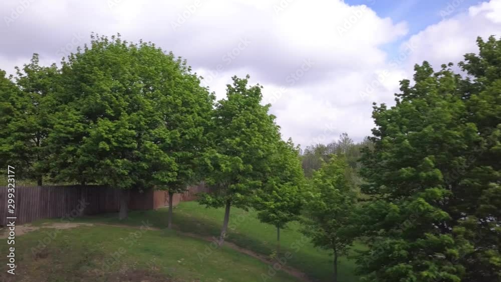 Green trees in summer on a grass covered hill. Green trees in summer on a grass covered hill.