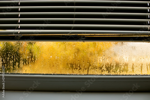Canvas Print Window drip due to bad ventilation inside house