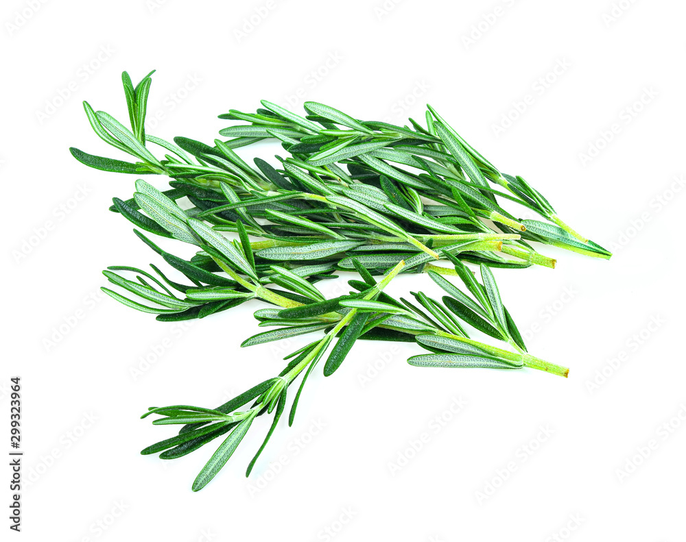 Fototapeta premium fresh rosemary isolated on white background