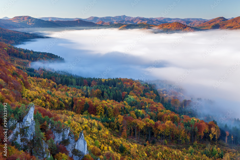 Brightly colored forests of mountain valley in the morning mist at autumn. Morning inversion in the Sulov rock mountains, Slovakia Europe.