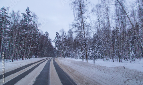 Asphalt road in the forest covered with snow