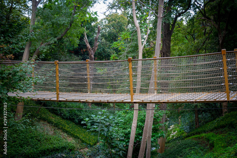 Rope bridge hanging among the trees, in the forest. Side view from outside 