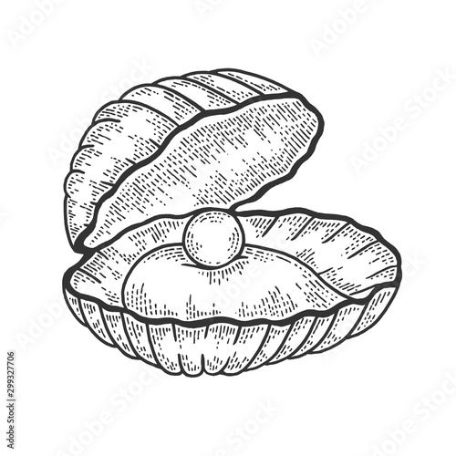 Pearl shell sketch engraving vector illustration. T-shirt apparel print design. Scratch board style imitation. Black and white hand drawn image.