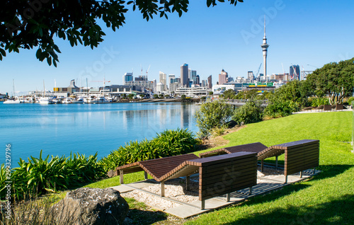 Fototapeta Naklejka Na Ścianę i Meble -  Wooden Benches in Waterfront Park (near harbour), with a Stunning View of Downtown Auckland- Auckland, New Zealand 