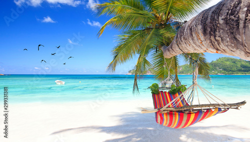 Fototapeta Odpręż się i zrelaksuj - hamak na tropikalnej plaży do pokoju