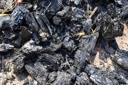 burnt wood parts turned into black coal