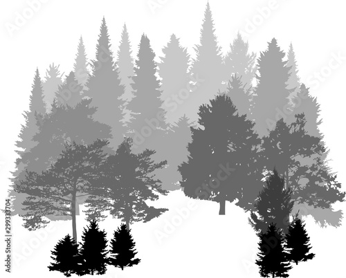 grey and black forest silhouette on white