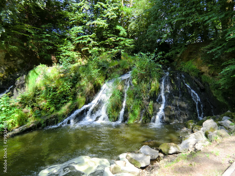 Cascade dans les bois Cascade dans les bois