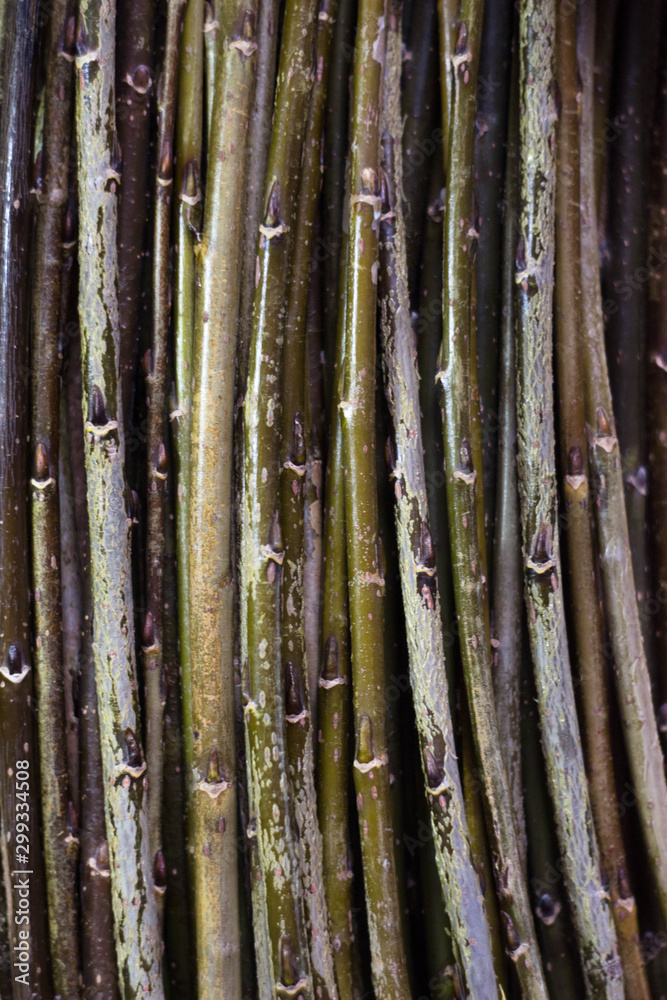 Aspen sticks lie in a row on a cork Board