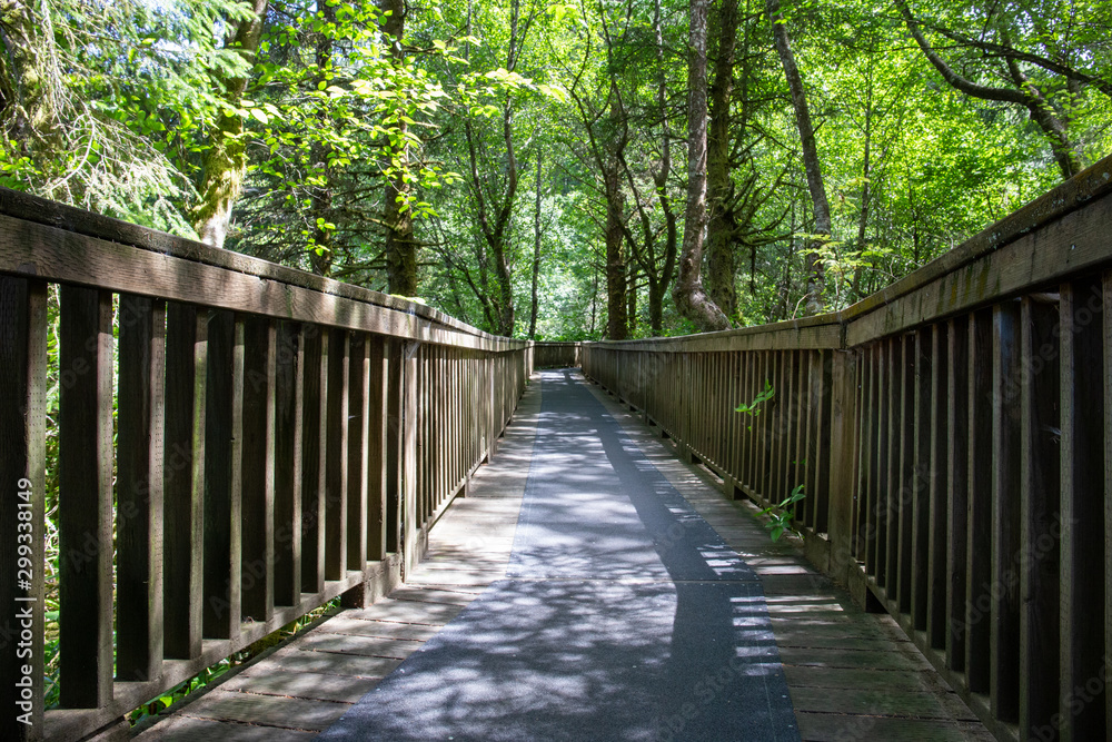 A bridge in the middle of the pluvial rainforest; Oregon State, USA.