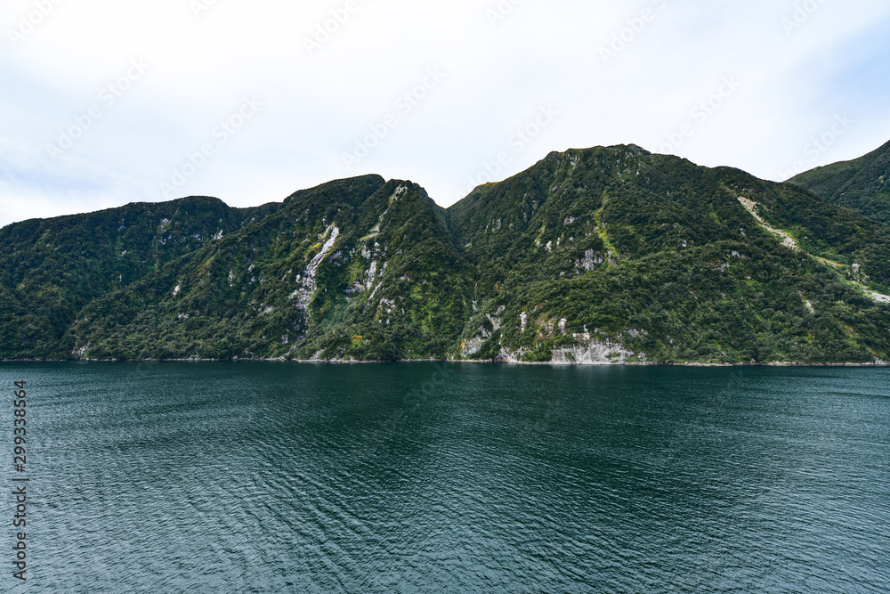 New Zealand travel, Auckland and Wellington, Fiords and islands 