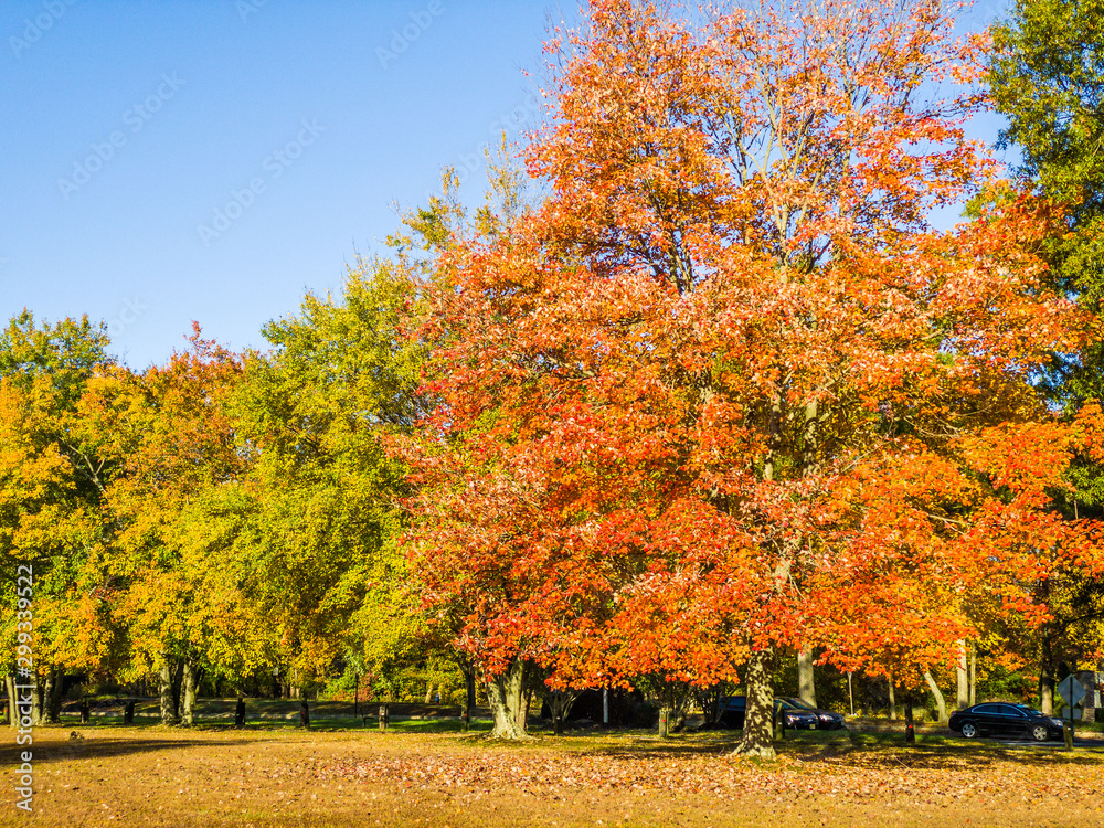 Stock photo of autumn rural landscape