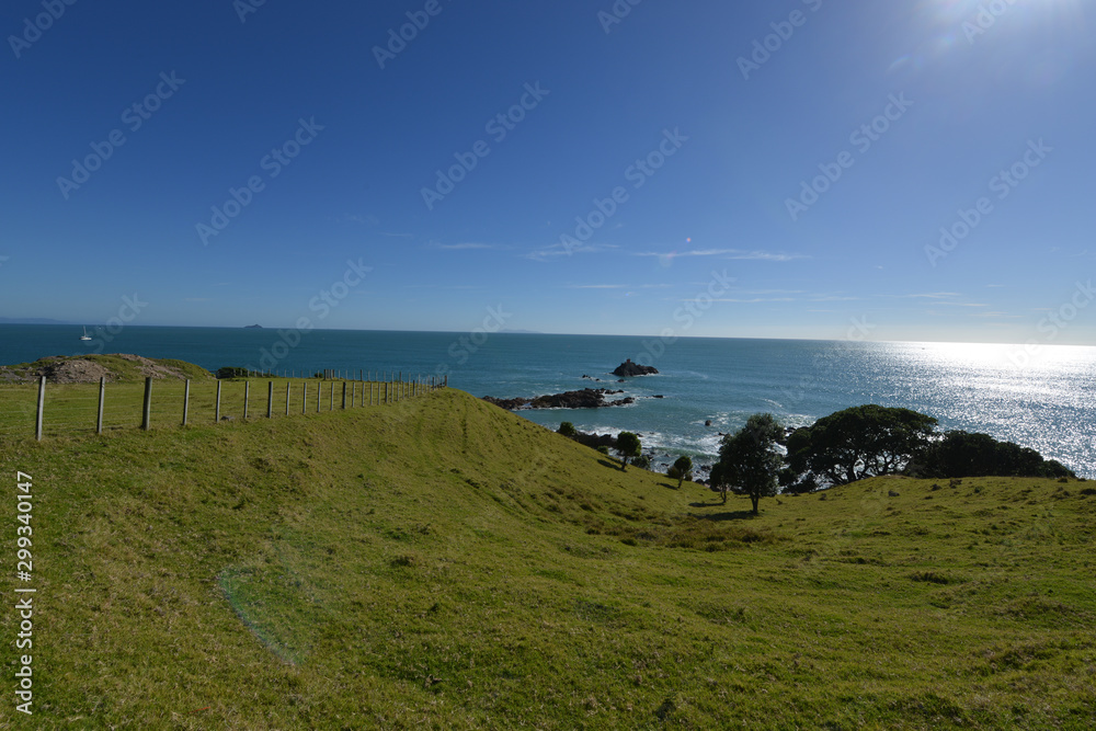 New Zealand travel, Auckland, Wellington^ fiords and islands