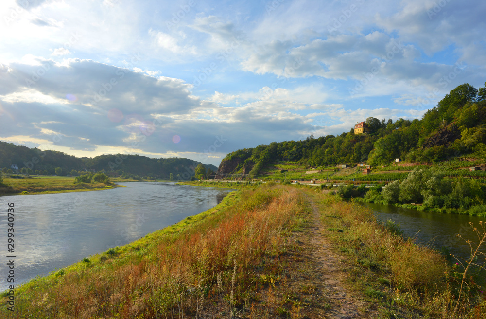 Obraz premium River Elbe with vineyards near the german town of Meissen