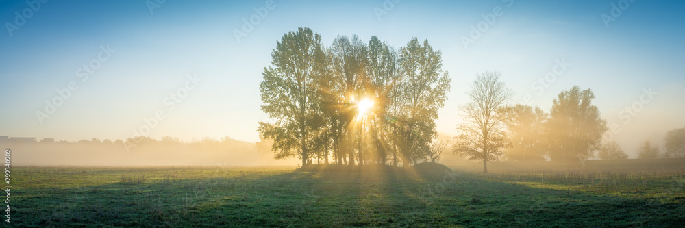 Die Sonne scheint durch Nebel und Bäume auf ein Feld - Panorama - obrazy, fototapety, plakaty 