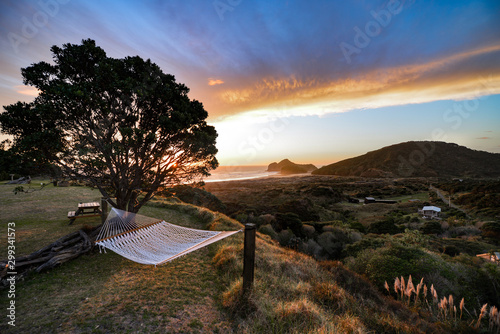 New Zealand travel, Auckland, Wellington^ fiords and islands