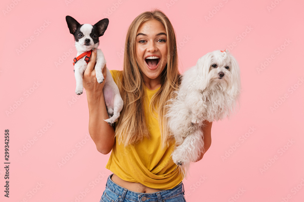 Cute lovely girl playing with her pet chihuahua Cute lovely girl playing with her pet chihuahua