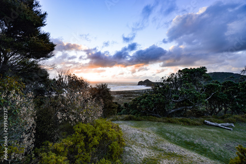 New Zealand travel, Auckland, Wellington^ fiords and islands