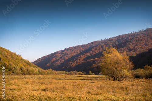 Autumn mountain scenery in sunny day