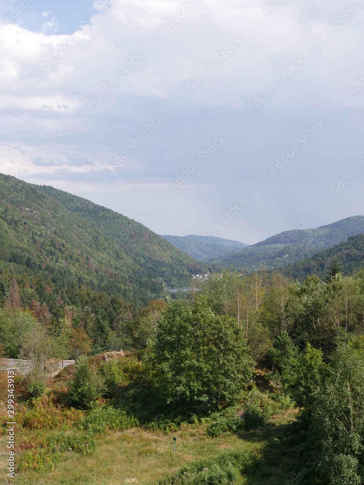 Obraz premium alsace