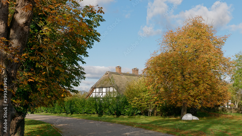 Reetdachhaus im Herbst Reetdachhaus im Herbst