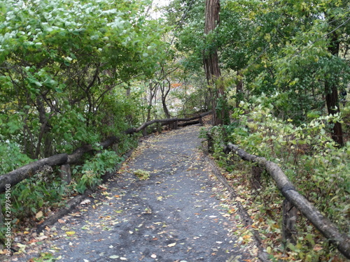 empty trail through park in fall