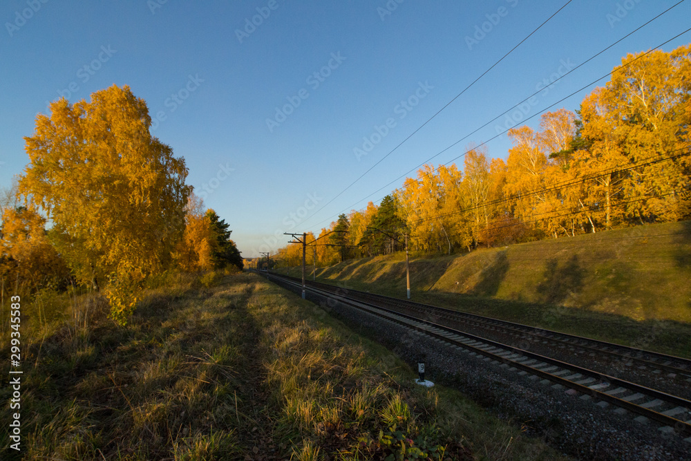 Railway passing through the autumn forest