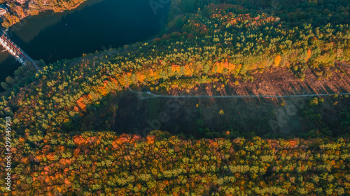 Autumn landscape. Aerial view. Autumn forest on the hill