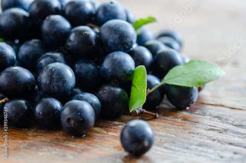 Blueberries with blueberries leaves  on the wooden table. Fototapeta