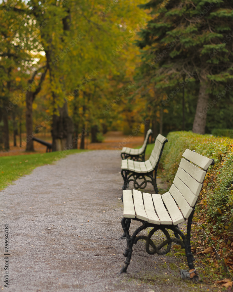 empty bench in the park in autumn, Canada