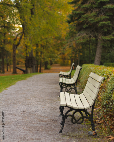 empty bench in the park in autumn, Canada © Francois
