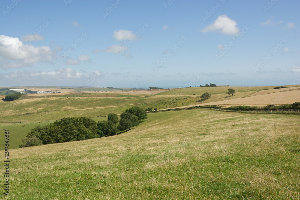 SouthDowns Countryside at Steyning, West Sussex, England
