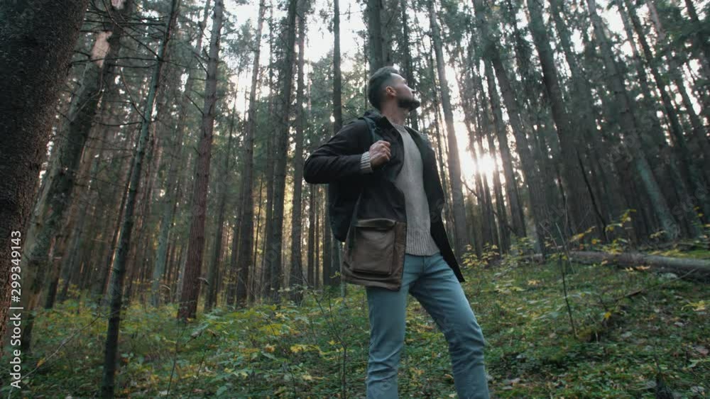 Young bearded man looking around in autumn forest. Male traveler hike with backpack trekking in pine woodland, discover woods and enjoys nature landscape. Slow motion wide angle shot Young bearded man looking around in autumn forest. Male traveler hike with backpack trekking in pine woodland, discover woods and enjoys nature landscape. Slow motion wide angle shot