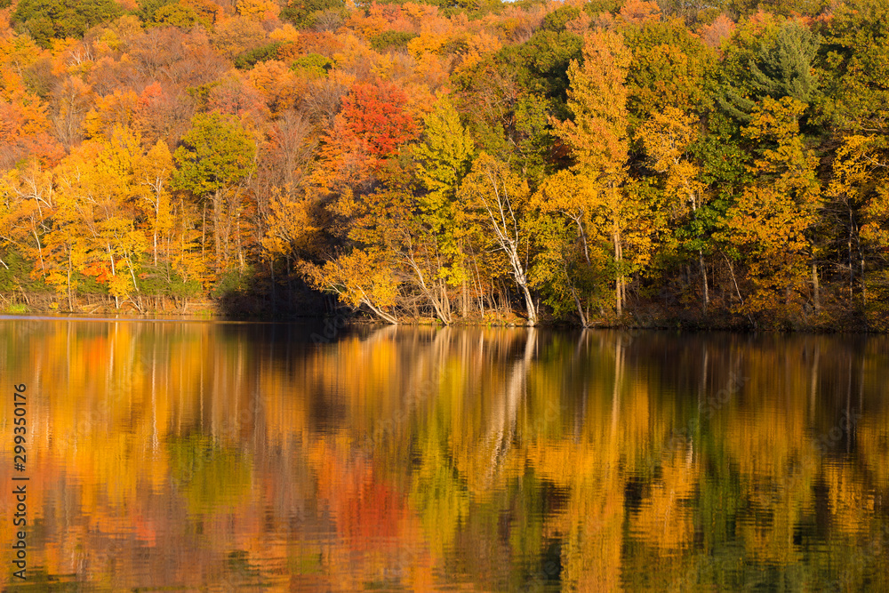 Mont-Saint-Bruno national park in autumn Mont-Saint-Bruno national park in autumn
