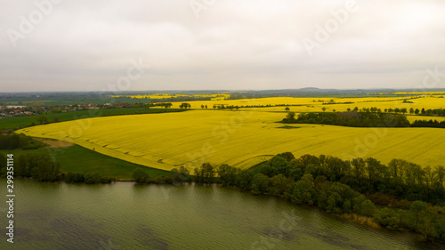 Yellow and green rapeseed fields in sping, splendid yellow color, aerial view, Germany oilseed rape agricultural fields. Canola
