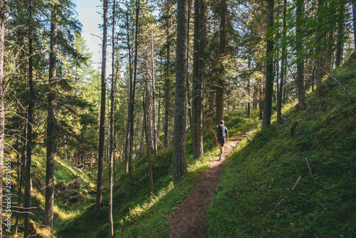 Hiker in a sunny forest in the Dolomites photo