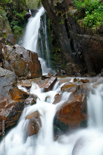 Beautiful natural water fall into the interior of andean forest in a stream called Miraflores located in the mountains.