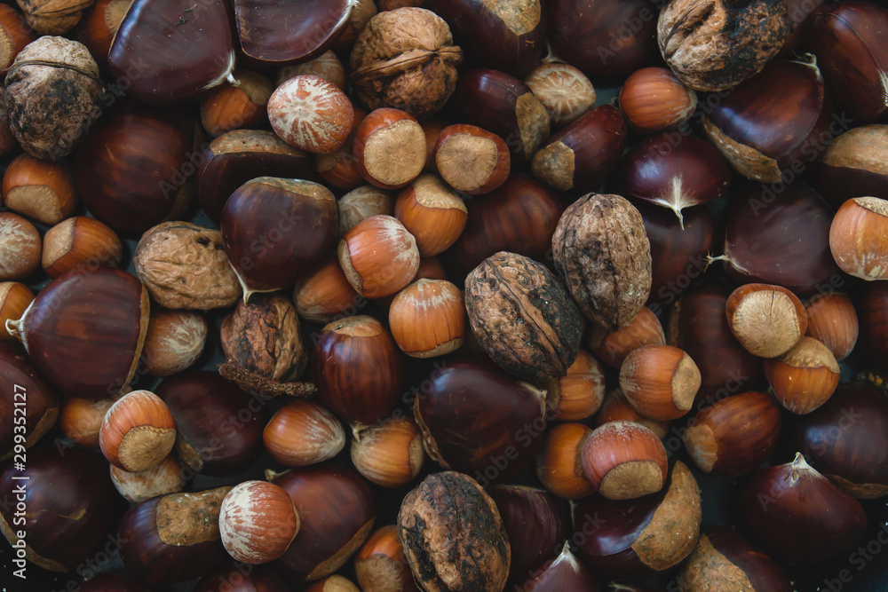 Ripe hazelnuts, chestnuts, and walnuts top view Ripe hazelnuts, chestnuts, and walnuts top view