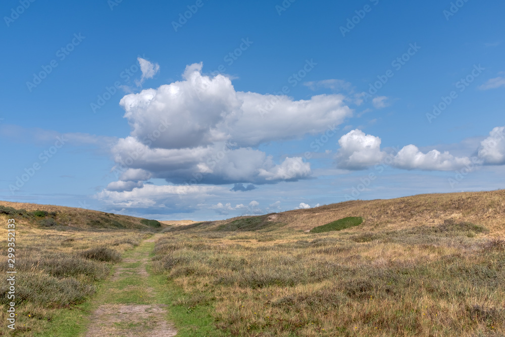 Path through a dune landscape with a blue sky with white clouds