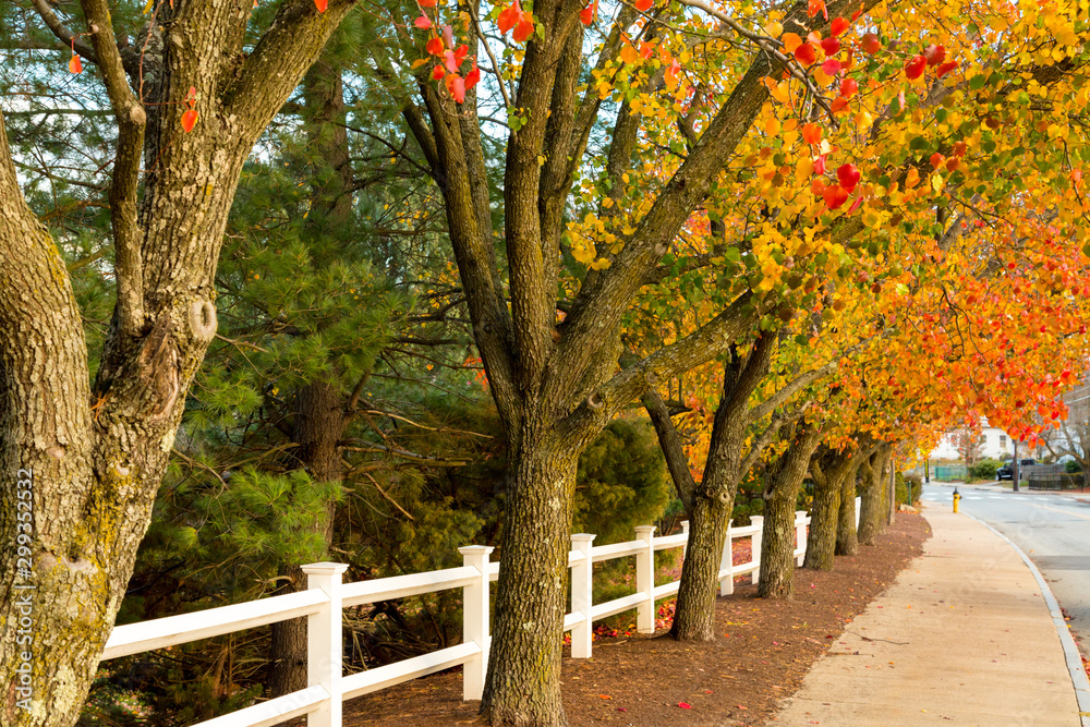 Naklejka premium New England Small Town in the Autumn Foliage