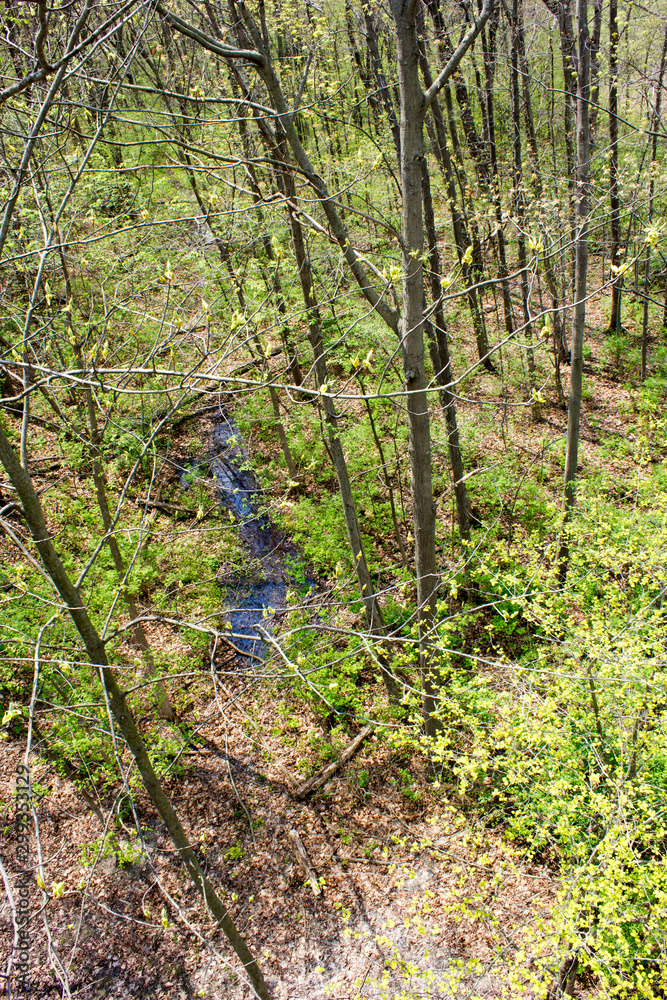 Fototapeta premium Stream