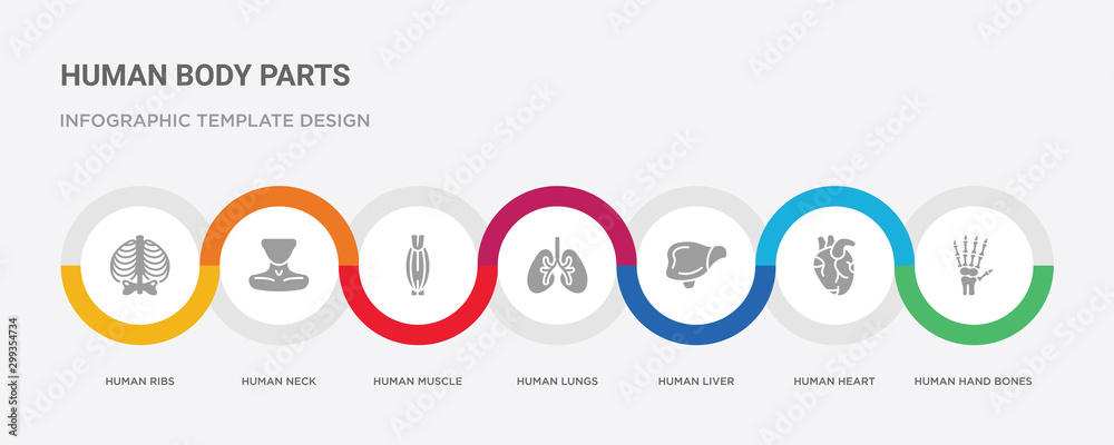 7 filled icon set with colorful infographic template included human hand bones, human heart, human liver, lungs, muscle, neck, ribs icons 7 filled icon set with colorful infographic template included human hand bones, human heart, human liver, lungs, muscle, neck, ribs icons