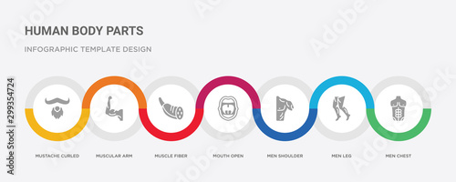 7 filled icon set with colorful infographic template included men chest, men leg, men shoulder, mouth open, muscle fiber, muscular arm, mustache curled tip variant icons