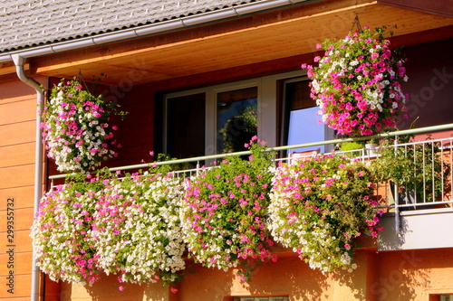 Haus und Garten, Sommerbepflanzung mit Petunien und Geranien an einem Balkon in Österreich