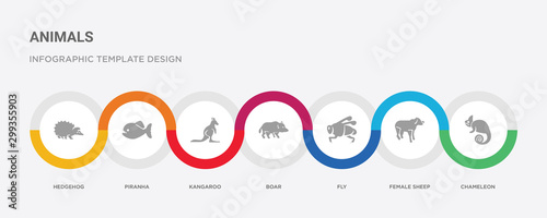 7 filled icon set with colorful infographic template included chameleon, female sheep, fly, boar, kangaroo, piranha, hedgehog icons