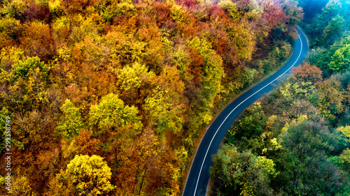 Aerial view of curvy road in beautiful autumn forest. Top view of roadway with autumn colors