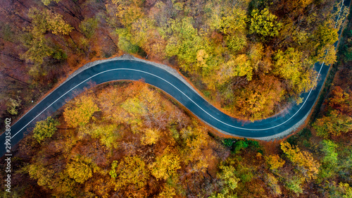 top view of empty forest road with autumn colors