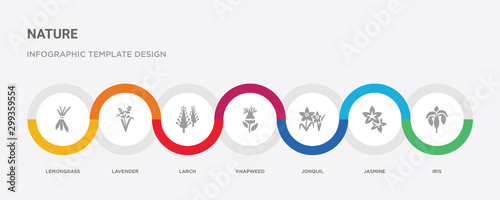 7 filled icon set with colorful infographic template included iris, jasmine, jonquil, knapweed, larch, lavender, lemongrass icons