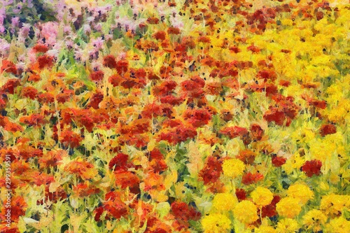 Colorful flower fields Illustrations creates an impressionist style of painting.